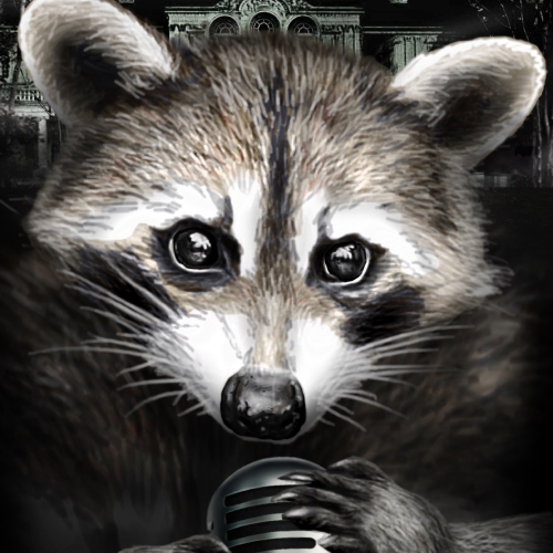 Team Raccoon