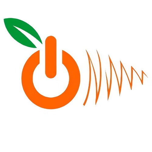 Orange Noise Studio